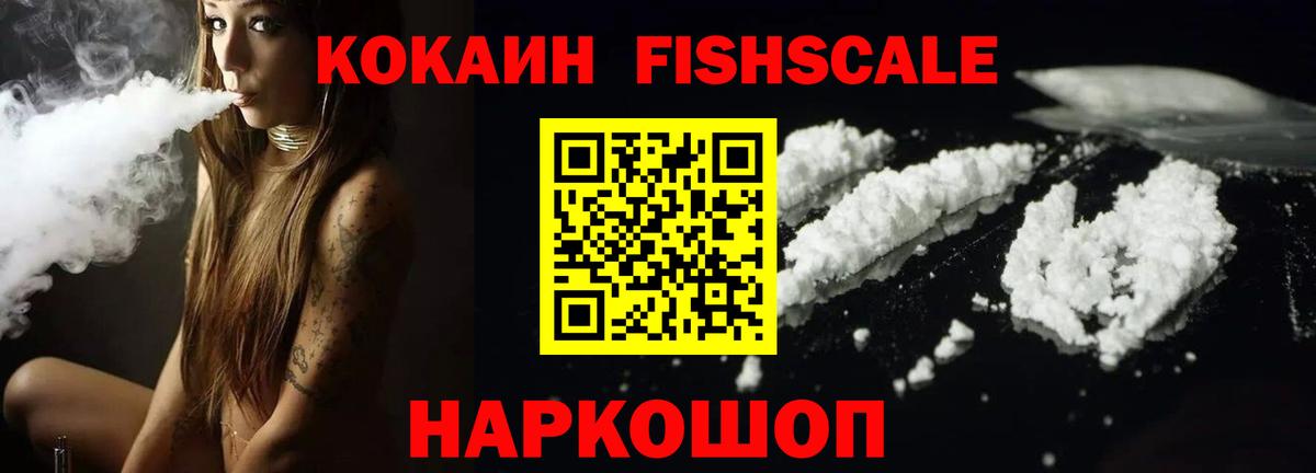 Cocaine Fish Scale  Вход с VPN  Cocaine  Северобайкальск 