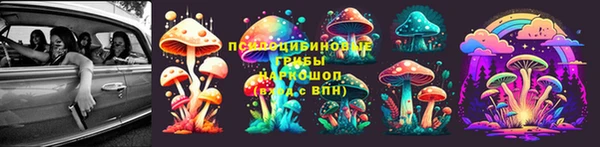 прущая мука Верея