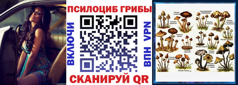 наркошоп  Северобайкальск  Псилоцибиновые грибы GOLDEN TEACHER 