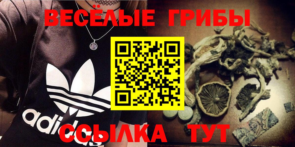 Северобайкальск  Галлюциногенные грибы Magic Shrooms  Вход с VPN  Псилоцибиновые грибы MAGIC MUSHROOMS 